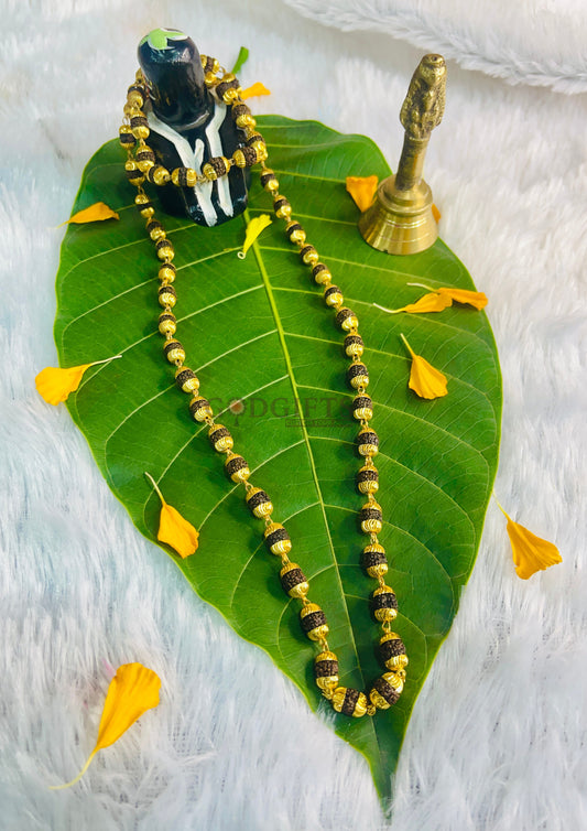 ๐ ๐๐ฎ๐ค๐ก๐ข ๐๐ฎ๐๐ซ๐๐ค๐ฌ๐ก๐ ๐๐๐ฅ๐ ๐ฐ๐ข๐ญ๐ก ๐๐จ๐ฅ๐ ๐๐ฅ๐๐ญ๐๐ ๐๐๐ฉ๐ฌ